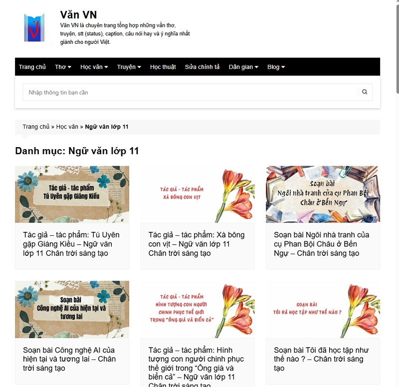 Sứ mệnh hoạt động của Văn VN